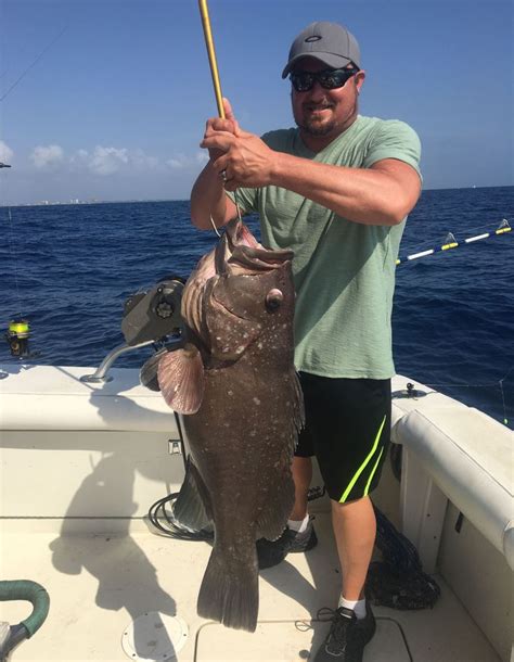 Big warsaw grouper caught deep sea fishing in #FtLauderdale on our sportfishing charter. Let's ...