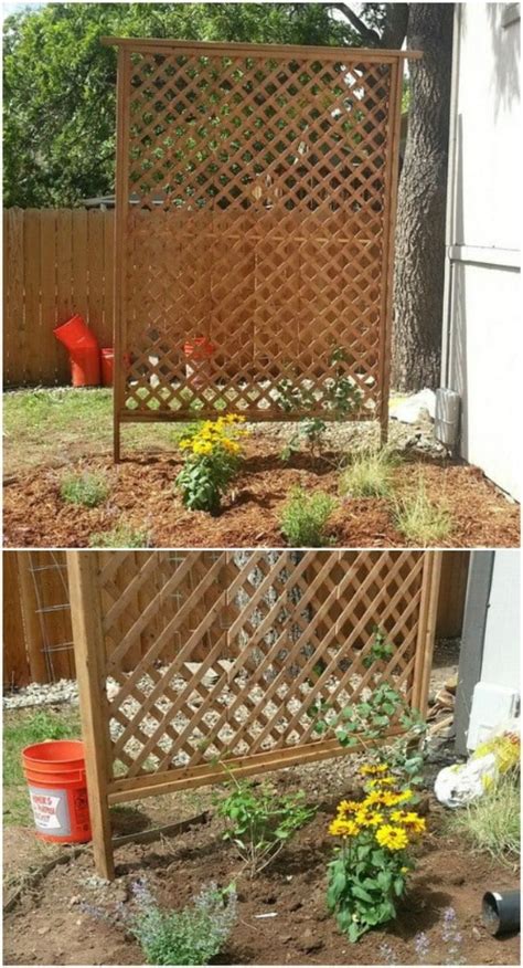 20 Easy DIY Trellis Ideas To Add Charm and Functionality To Your Garden