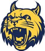 About Wildcat Athletics | Springfield City School District