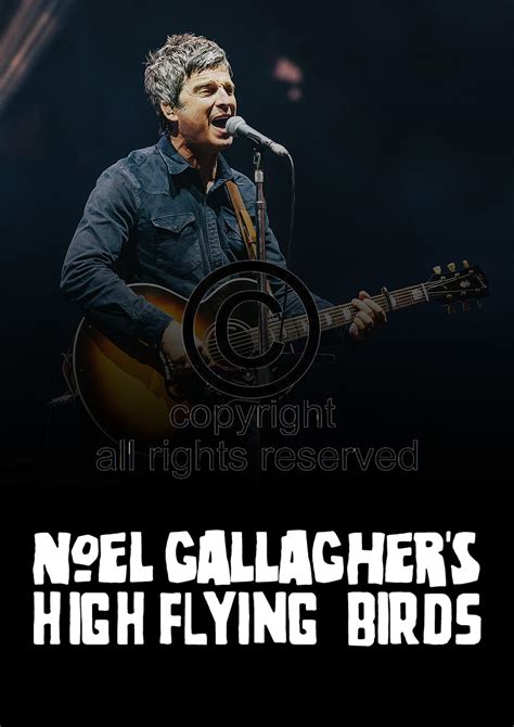 NOEL GALLAGHER High Flying Birds A4 Poster Glossy Print | Etsy