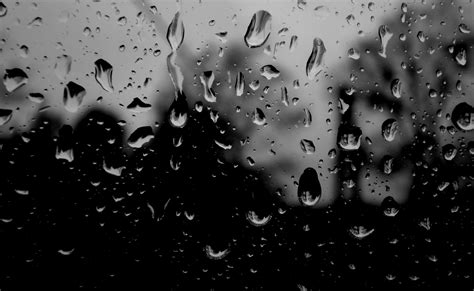 Wallpaper ID: 719075 / raindrop, 1080P, water, indoors, condensation ...