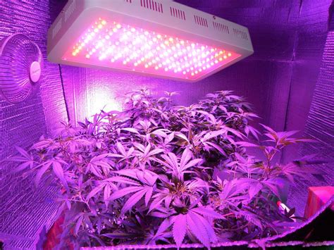 Hydroponic Indoor Growing 1200W LED Grow Light with 9-band Full ...