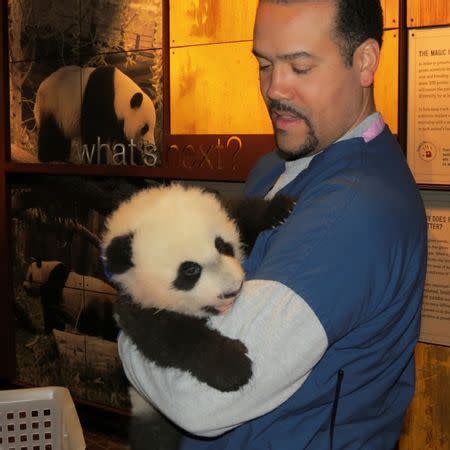 Washington zoo's giant panda cub to make debut January 16