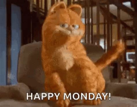 Garfield Dance GIF - Garfield Dance Cute - Discover & Share GIFs