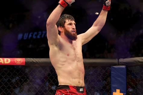 Bad News for Magomed Ankalaev Before UFC 308 as Aleksandar Rakić Plots Alex Pereira Heist ...