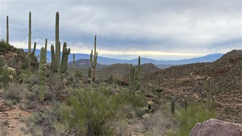 Zenfolio | Southern Arizona Hiking Club | 2/6 36th Street Trails