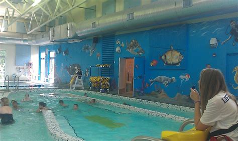 Aquatic Mural at Blue Valley Rec Center Muralist, Aquatic, Rec ...