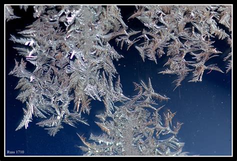 Frost Crystals | Canon 40D + Sigma 105mm Macro | RussellHarryLee | Flickr