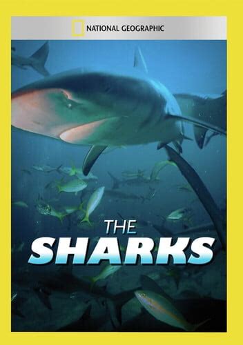 Sharks (DVD), National Geographic, Documentary - Walmart.com