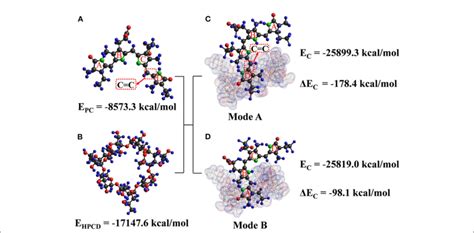 FIGURE E The energy-optimized molecular models of phycobilin, HP-β-CD ...