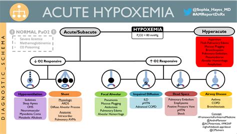 Hypox(em)ia – Allan J. Goody Bedside Medicine Series