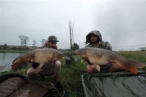 Rietvlei Dam - Sloep Stories Part 2 - Carp SA