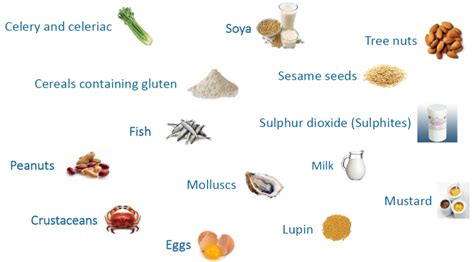 Allergen List Template