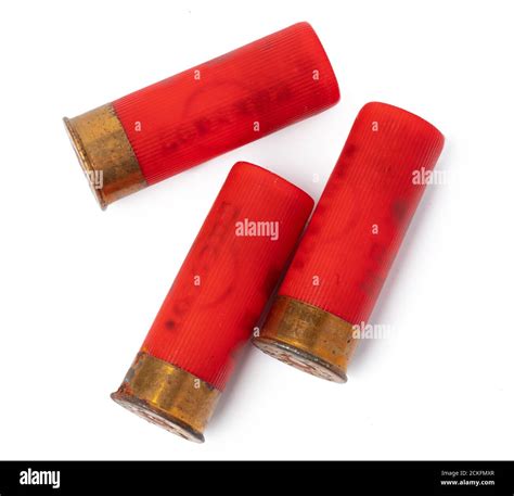 Shotgun shell cartridge isolated on white background Stock Photo - Alamy