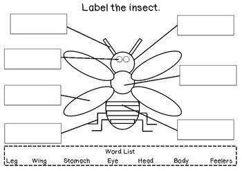 This is an early years writing activity where children are required to label an insect. Perfect ...