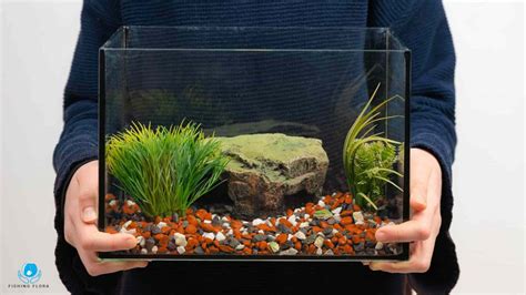 What To Do With Old Fish Tank Gravel [Creative Tips]