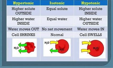 what is the difference between hypertonic and hypotonic solution? - EduRev Class 9 Question