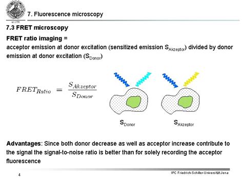 7 Fluorescence microscopy 7 3 FRET microscopy The