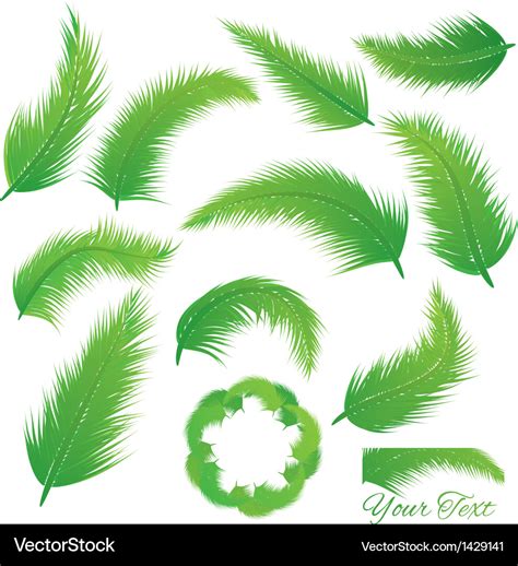 Coconut leaf Royalty Free Vector Image - VectorStock