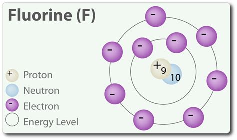 What Is A Polar Covalent Bond? | Tutor Pace | Covalent bonding, Polar covalent bonds, Tutor