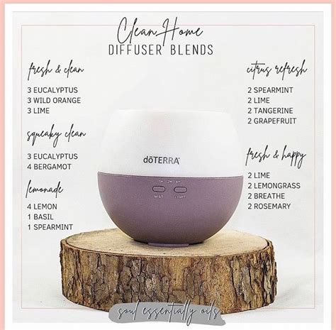 Clean Home Diffuser Blend