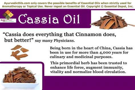 Cassia essential oil | Essential Oil