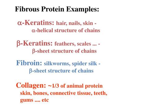 PPT - Fibrous Protein Examples: PowerPoint Presentation, free download - ID:1900516