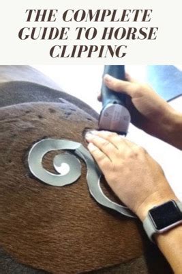 The Complete Guide To Horse Clipping - Techniques, Tools, and Troubleshooting