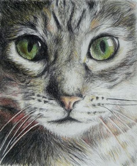 Cat by Lemonkiisu on DeviantArt | Cats, Green eyes, Art