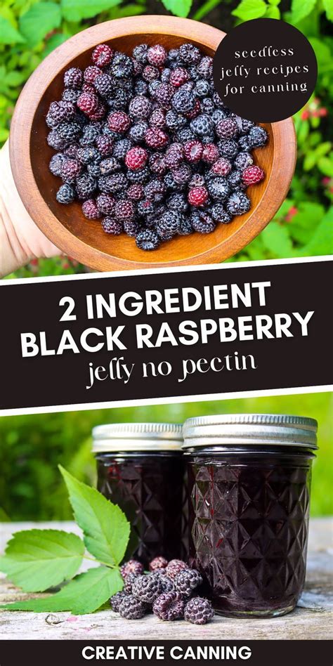 Black Raspberry Jelly (Seedless) | Recipe | Canning fruit recipes, Jelly recipes, Black ...