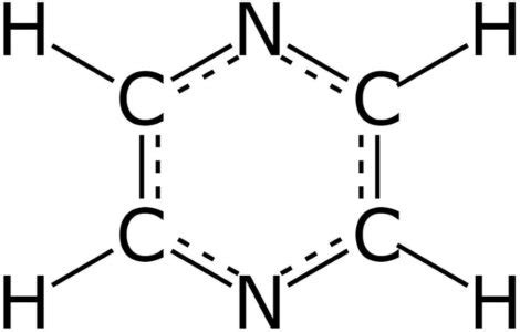 pyrazine | Ladybug Planet