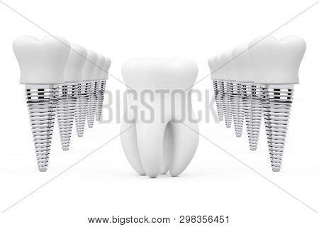 Premolar Healthy Tooth Image & Photo (Free Trial) | Bigstock