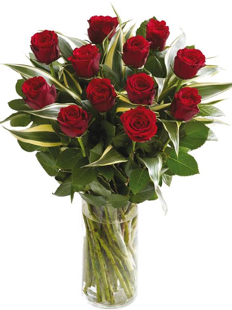 Juliane Olsen: Send Flowers For Valentine's Day Uk - The Best Flowers And Roses To Order Online ...