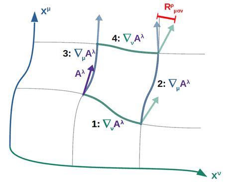 The Ricci Tensor: A Complete Guide With Examples – Profound Physics