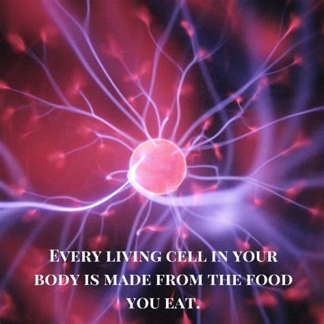 Every Living Cell in Your Body is Made from the Food You Eat! – Metabolic Balance Blog