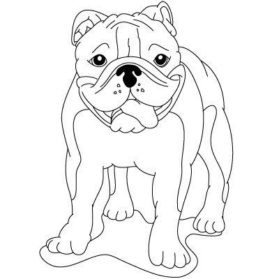 How To Draw Easy Bulldog Drawings Sketch Template | Bulldog drawing ...