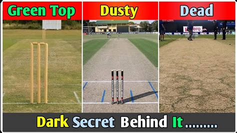 5 Different Types of Cricket Pitch Use in International Cricket🔥 ...