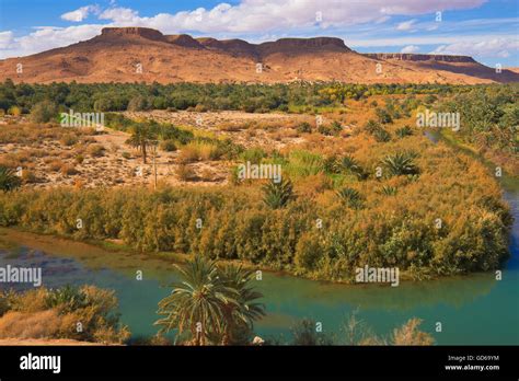 Tafilalet oasis hi-res stock photography and images - Alamy