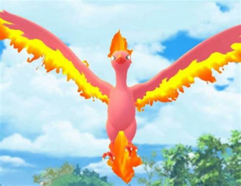 'Pokémon GO' Raid Reward Day: How To Get Yourself A Shiny Moltres