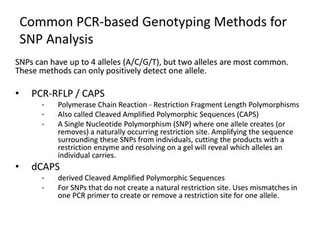 PPT - PCR-Based Genotyping Methods PowerPoint Presentation, free download - ID:5567749