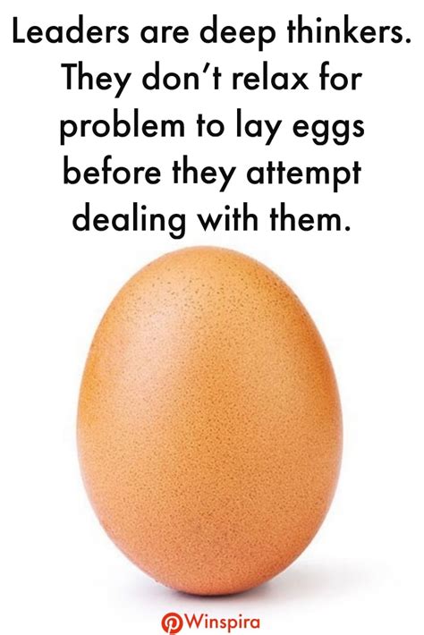 24 Quotes About Ordinary Eggs