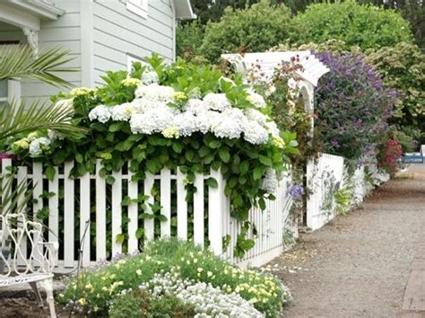 Fences full of beauty | White picket fence, Cottage garden, White gardens