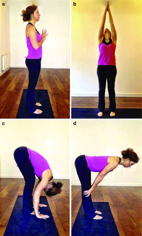 1 Standing forward fold sequence ( tadasana , uttanasana , ardha... | Download Scientific Diagram