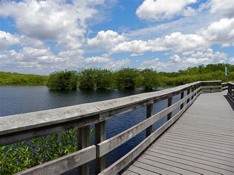 Walking the boardwalk on the Anhinga Trail at Everglades National Park. This boardwalk will be ...