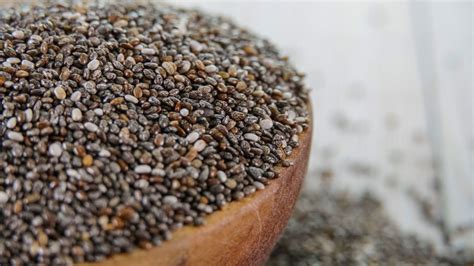 How to grow chia seeds – top tips for producing these healthy grains