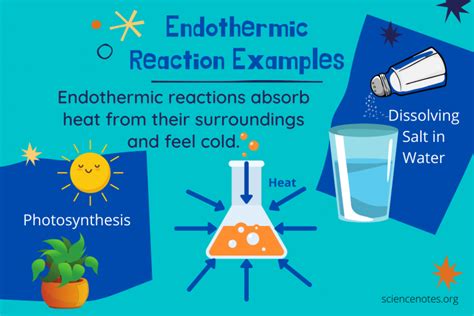 Endothermic Reactions - Definition and Examples