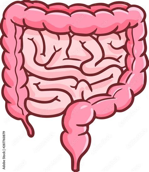 Cute and funny colon or intestine in cartoon style Stock Vector | Adobe Stock