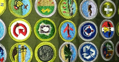 Merit Badges | BSA Scouts | Troop 699 | Scouting USA