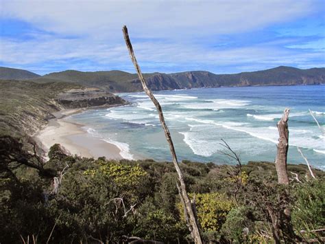 South Cape Bay | Hiking South East Tasmania