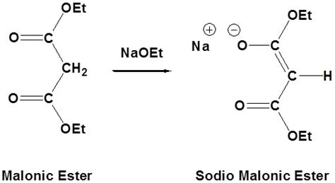 Malonic Ester Synthesis - Chemistry LibreTexts